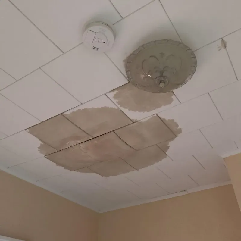 Ceiling Water Damage Repair in Smiths Station, AL