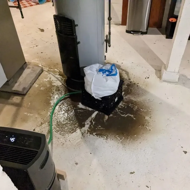 Sewage Backup Cleanup Service in Smiths Station, AL